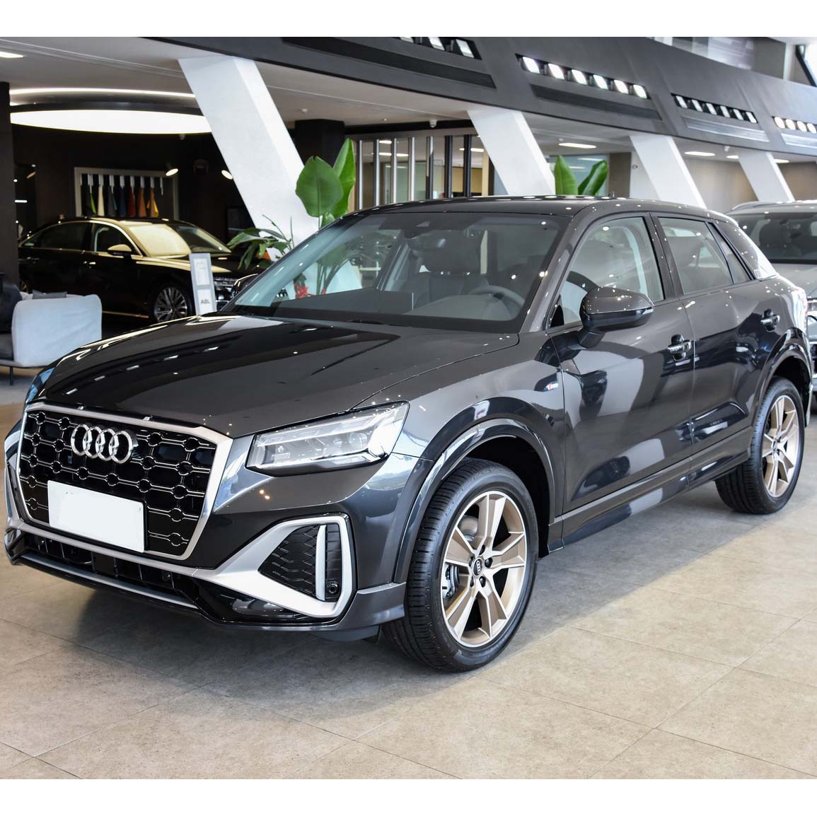 Audi Q2L Petrol Vehicle