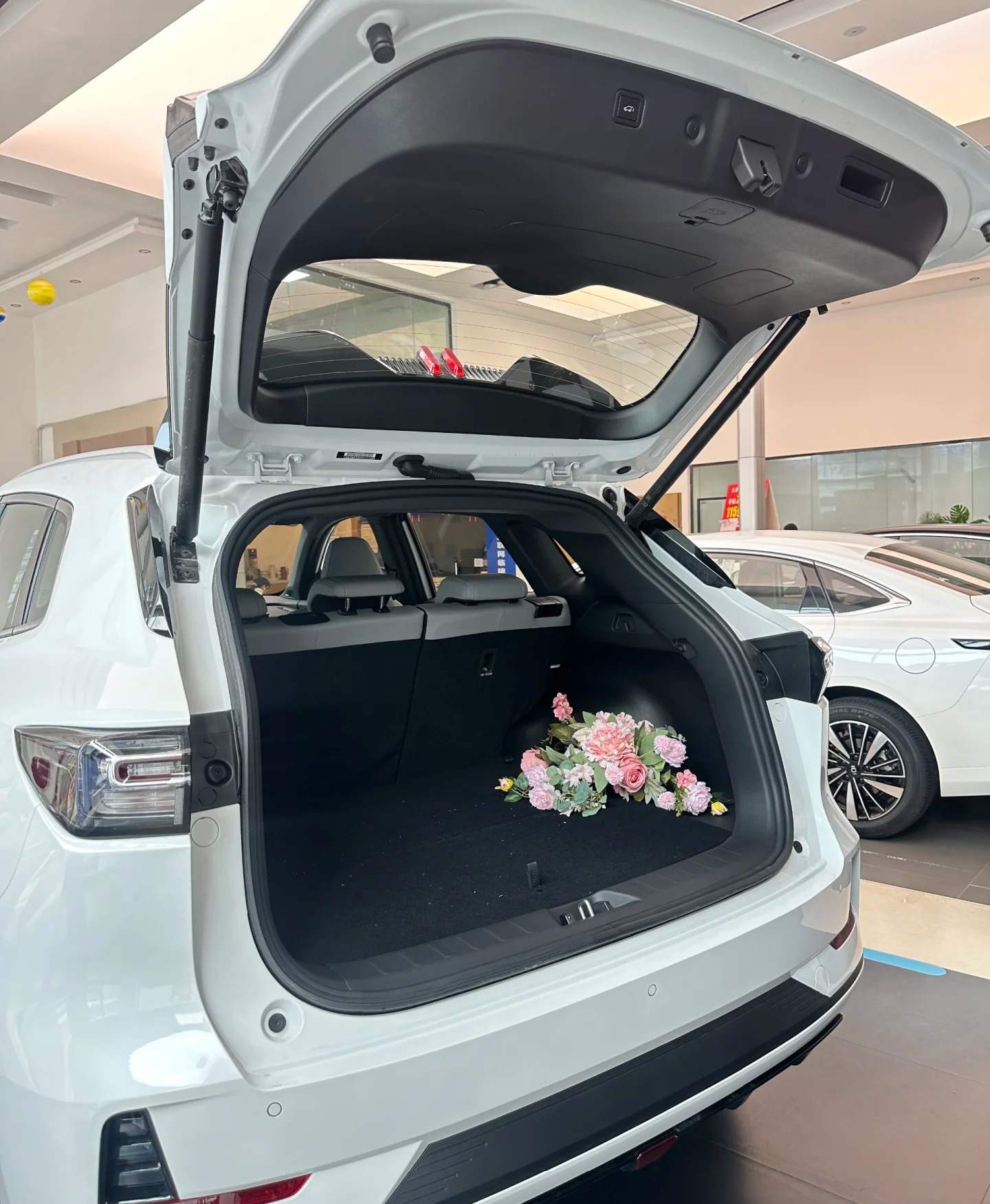 NEVO Q05 driving experience